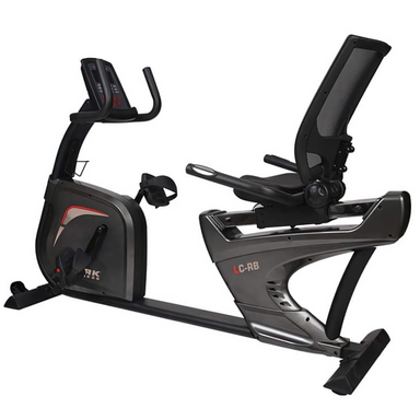 York LC-RB Recumbent Bike