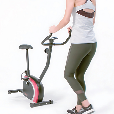 York Performance Upright Bike — House of Cypress