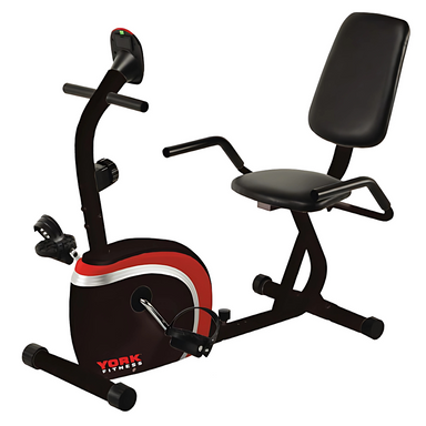 York Performance Recumbent Bike — House of Cypress
