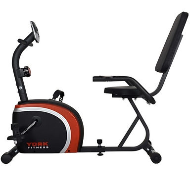 York Performance Recumbent Bike — House of Cypress
