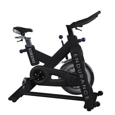 Endurance Exercise Bike — House of Cypress