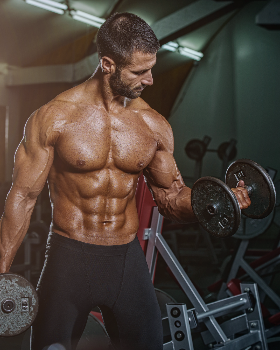 Bodybuilder Lifting Weights.