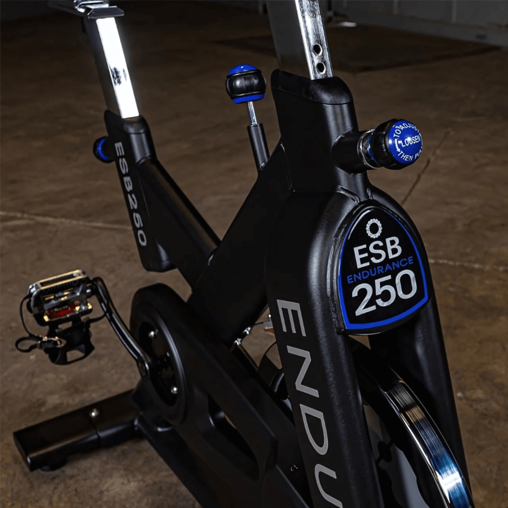 Endurance Exercise Bike — House of Cypress