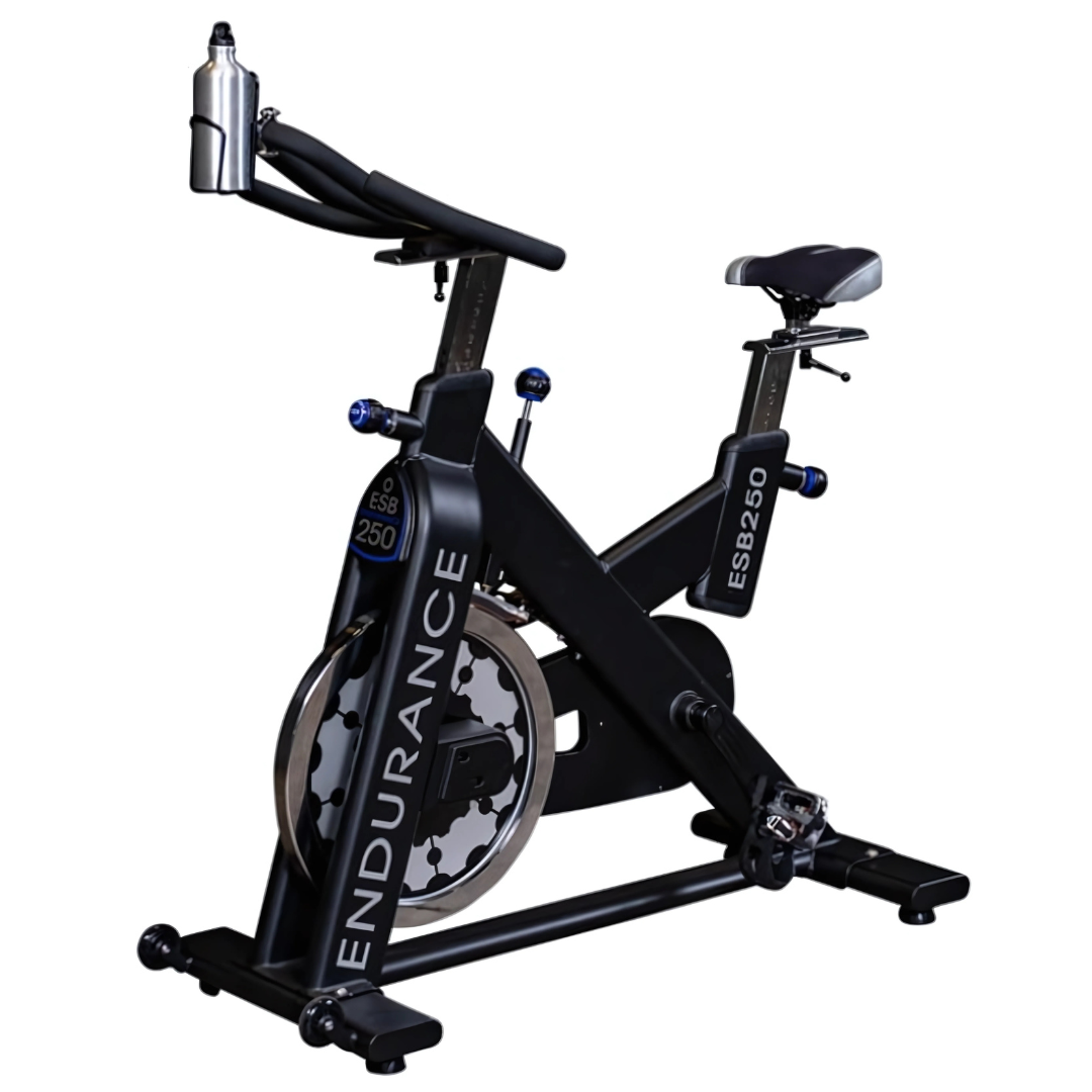 Endurance Exercise Bike — House of Cypress