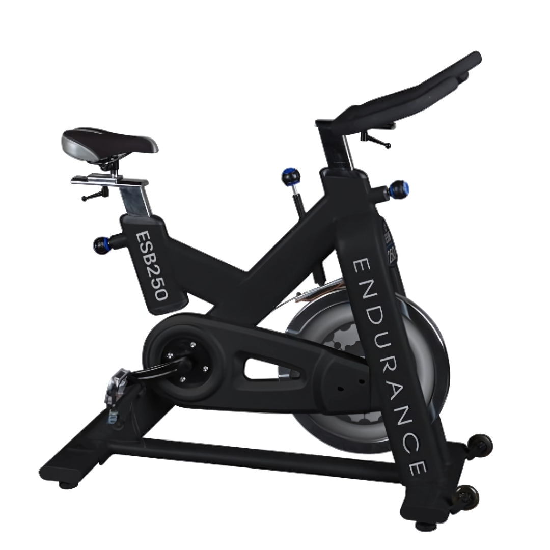 Endurance Exercise Bike — House of Cypress