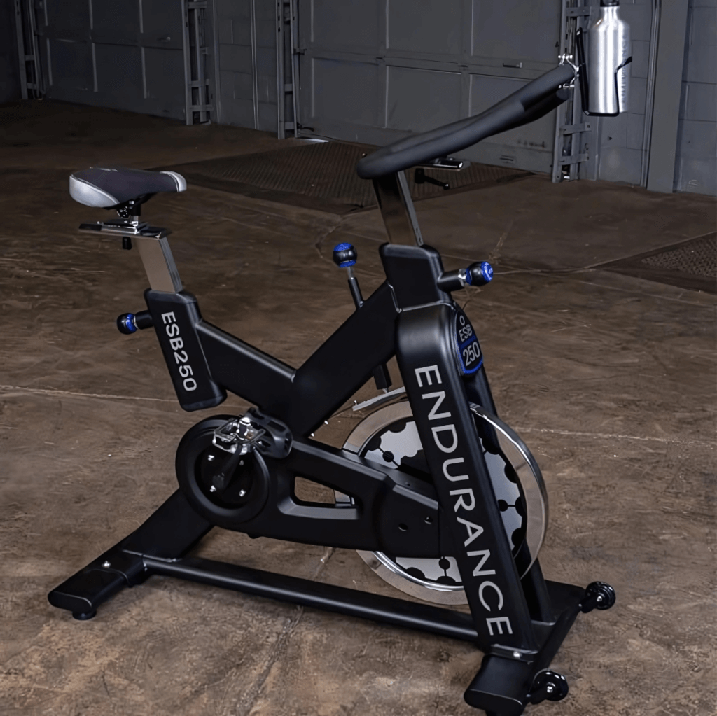 Endurance Exercise Bike — House of Cypress