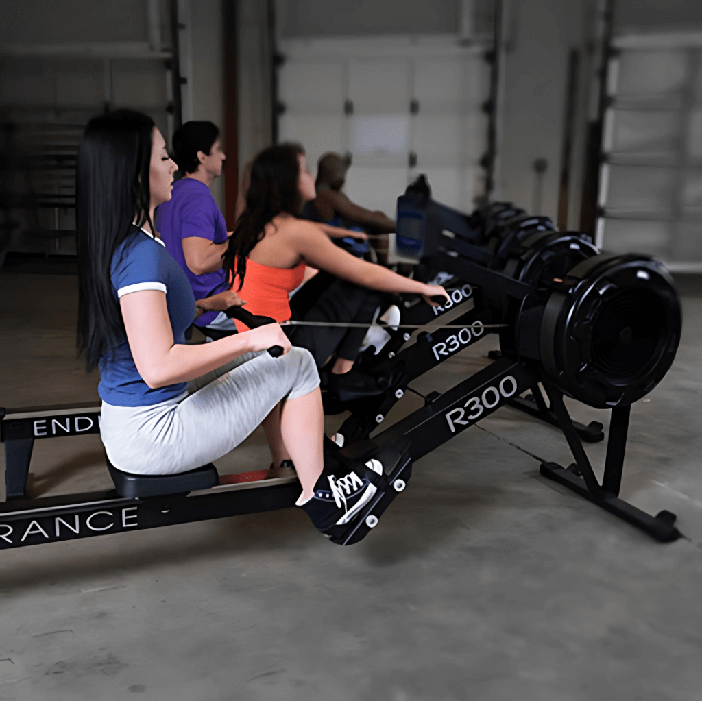 Endurance R300 Air Rower — House of Cypress
