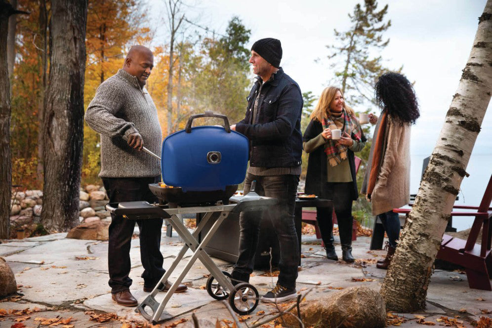 Napoleon TravelQ 285X Blue Scissor Leg BBQ Portable BBQ Propane grill Cooking grill Outdoor cooking Grill accessories BBQ equipment Camping grill Compact BBQ Foldable legs Stainless steel construction Cooking surface Temperature control Ignition system Grilling versatility Portable cooking solution