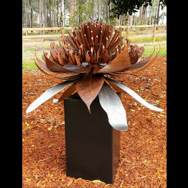 Ironbark Waratah Sculpture Australian flora Native plant Artwork Metalwork Outdoor sculpture Nature-inspired Botanical theme Indigenous art Australian bush Steel sculpture